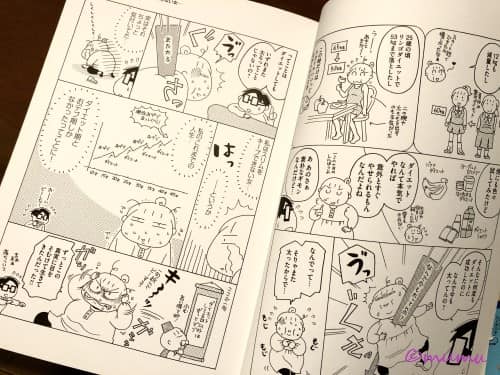 女の子にもどれる スリム美人の生活習慣をまねしたら1年間で30キロ痩せました 感想 Mumuject