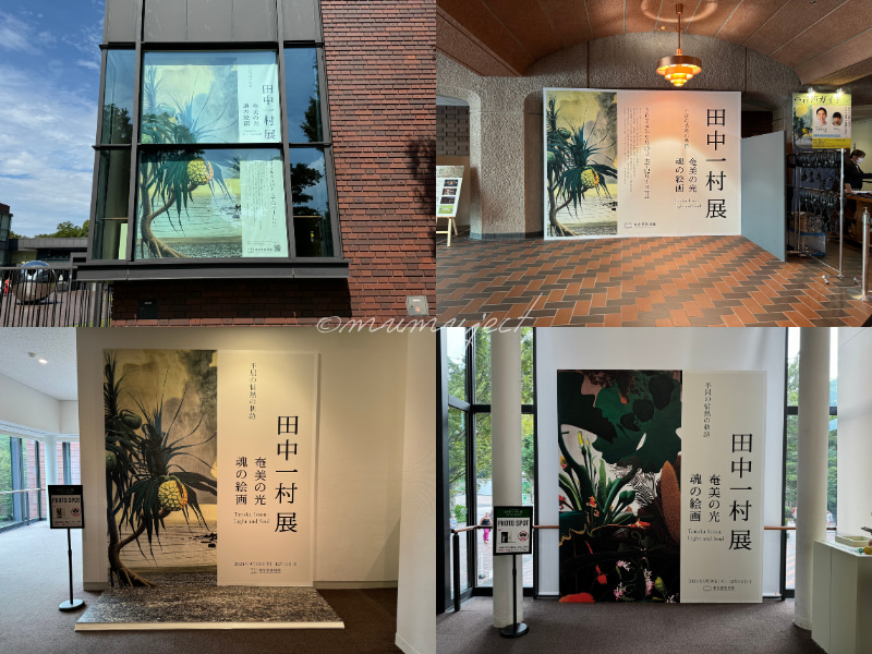 田中一村展-奄美の光-魂の絵画-2024-感想-レビュー-口コミ-評判-グッズ-混雑-所要時間-見どころ-チケット-巡回-東京-東京都美術館-撮影スポット