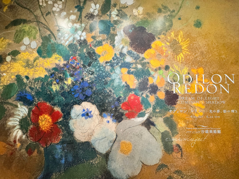 オディロン・ルドン ―光の夢、影の輝き,ルドン展,ルドン展2025,感想,レビュー,口コミ,評判,グッズ,混雑,所要時間,見どころ,チケット,巡回,東京,パナソニック汐留美術館-フォトスポット