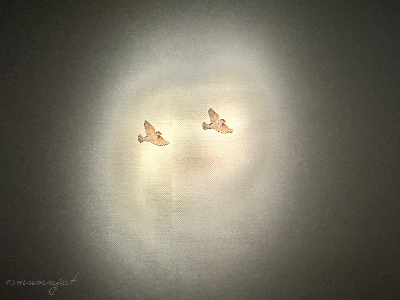 スウェーデン国立美術館-素描コレクション展-ルネサンスからバロックまで-素描展-2025-感想-レビュー-口コミ-評判-グッズ-混雑-所要時間-見どころ-チケット-巡回-東京-国立西洋美術館