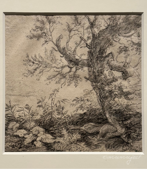 スウェーデン国立美術館-素描コレクション展-ルネサンスからバロックまで-素描展-2025-感想-レビュー-口コミ-評判-グッズ-混雑-所要時間-見どころ-チケット-巡回-東京-国立西洋美術館-アントニー・ワーテルロー-1本の木のある風景