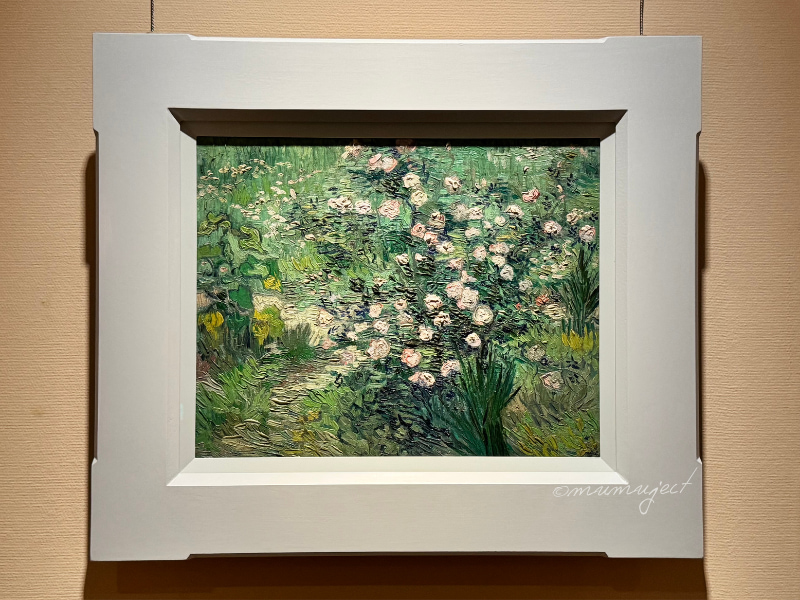 スウェーデン国立美術館-素描コレクション展-ルネサンスからバロックまで-素描展-2025-感想-レビュー-口コミ-評判-グッズ-混雑-所要時間-見どころ-チケット-巡回-東京-国立西洋美術館-常設展-フィンセント・ファン・ゴッホ-ばら